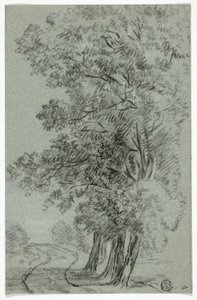 Route passant par des arbres - Pieter Gaal