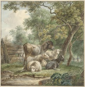 Bétail dans un verger