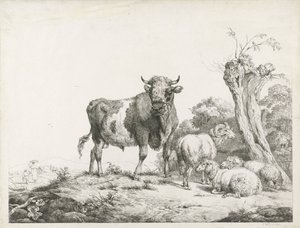 Un taureau, un bélier et deux moutons couchés près d