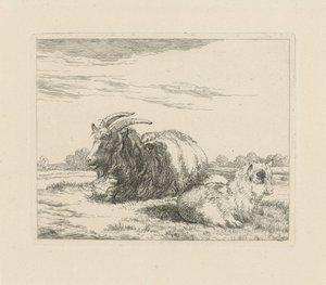 Chèvre couchée et chevreau (Moutons et chèvres)