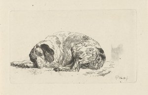 Chien couché