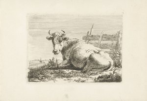 Vache couchée près d