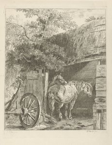 Deux chevaux dans une grange