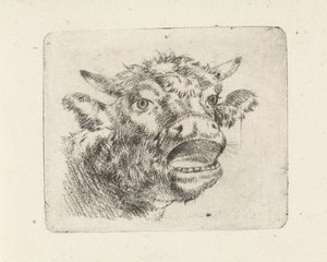 Tête de vache, mugissant - Pieter Janson