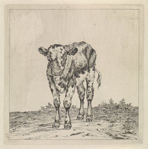 Paysage avec veau - Pieter Janson