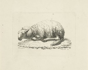 Mouton couché