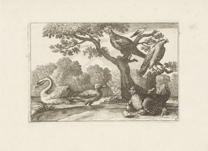 Poulet avec poussins et autres oiseaux