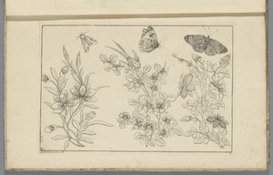 Trois branches de fleurs et trois papillons (Fleurs et insectes chinois)