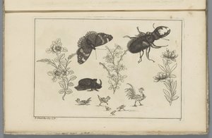 Trois branches de fleurs avec un scarabée rhinocéros, un papillon et un coléoptère