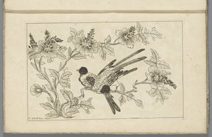 Deux oiseaux sur une branche fleurie