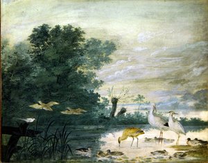 Oiseaux exotiques dans un paysage pittoresque