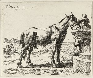 Cheval buveur - Pieter van Laer