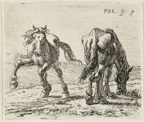 Allemand : Zwei Pferde auf einer Weide
Français : Les deux chevaux au pâturage
Deux chevaux au pâturage - Pieter van Laer