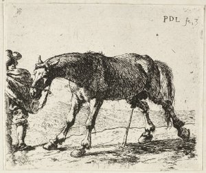 Cheval qui pisse - Pieter van Laer