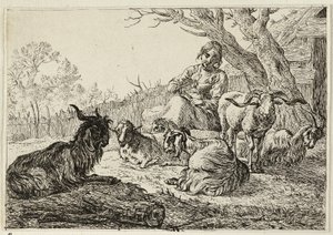 Sheperdess parmi les chèvres et les moutons - Pieter van Laer