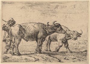 Deux buffles et un berger