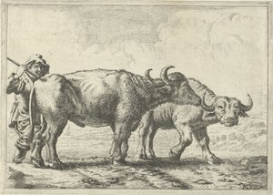Deux buffles et un berger - Pieter van Laer