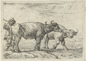 Deux buffles et un berger - Pieter van Laer
