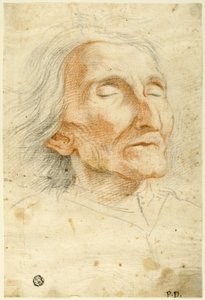 Visage d