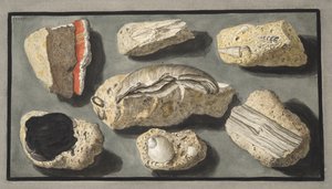 Spécimens de tuf trouvés dans et autour d