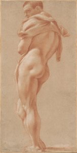 Homme nu debout vu de dos