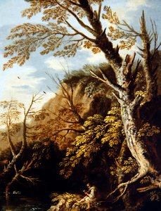 Paysage boisé avec un ermite - Pietro Montanini