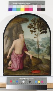 Saint Jérôme dans le désert, vers 1510-15 - Pietro Perugino