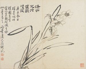 Paysages, Fleurs et Oiseaux : Narcisse, Dynastie Qing