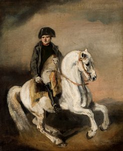 Napoléon à cheval