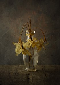 Nature morte florale mélancolique - Popa Kornel Andras