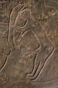 Figure humaine et tête de taureau (gravure rupestre) - Prehistoric