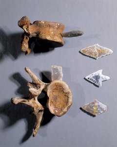 Silex avec os préhistorique, Musée des Antiquités Nationales