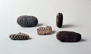 Préhistoire : différentes pintaderas (sceaux) en terre cuite néolithique de la Caverna Delle Arene à Candide (Ligurie)