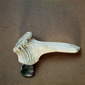 Préhistoire : hachette en pierre verte avec manche en bois de cerf de la grotte de Pollera - Prehistoric Prehistoric