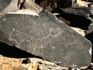 Préhistoire, art rupestre : roche funéraire représentant des lions, des antilopes, des autruches et du bétail. Âge de pierre 5000-2000 av. J.-C. Taghit, Haut plateau du Hoggar, Algérie