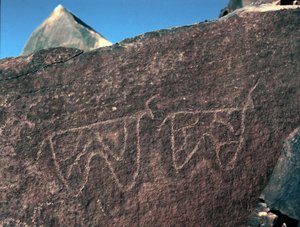 Préhistoire, art rupestre : roche funéraire de la représentation de bovins. Style Tazina - Prehistoric Prehistoric