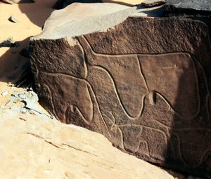 Préhistoire, art rupestre : roche funéraire de la représentation de bovins. Style Tazina