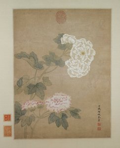 Fleurs