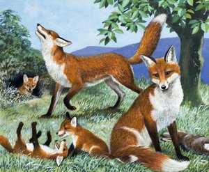 Les chasseurs de notre île, extrait de "Nature