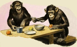 Z comme Zoo. Le goûter du chimpanzé