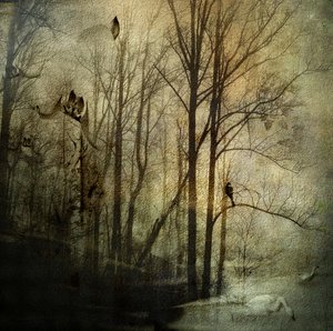  - Rachel Pansky
