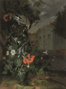 Sol forestier avec une façade classique au-delà