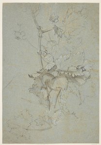 Étude de plantes - Rachel Ruysch
