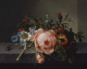 Nature morte avec branche de rose, scarabée et abeille, 1741