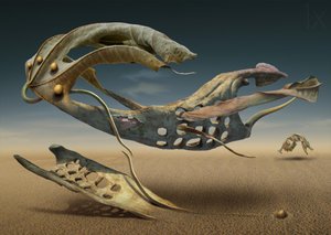 Formes flottantes du désert - Radoslav Penchev