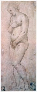 Étude de Vénus, vers 1500-1520