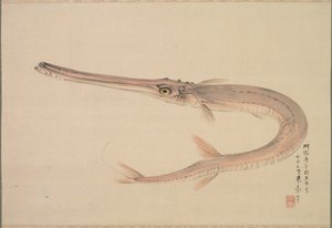 Poisson-aiguille Yagara, 1870 - Raisho Nakajima