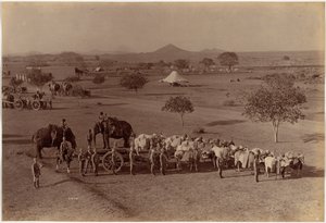 Batterie de campagne lourde, Jhansi - Raja Deen Dayal