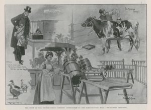 Le spectacle de l