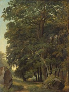 Un paysage boisé